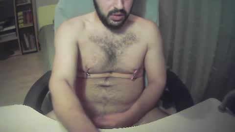 sissy_bear_ online show from August 1, 1:00 am