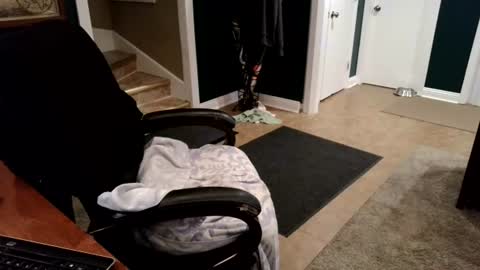 sissyexposed69 online show from August 8, 1:49 am