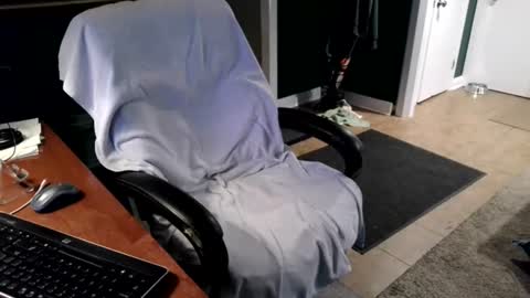 sissyexposed69 online show from August 9, 12:55 am