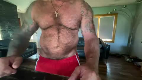 Bellas Daddy online show from August 9, 11:00 am