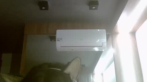 skinnykittencam online show from August 10, 2:13 am
