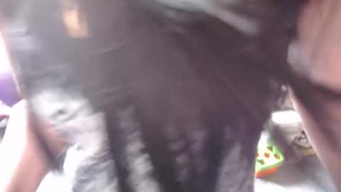 smile_cute_fox online show from June 1, 4:04 am