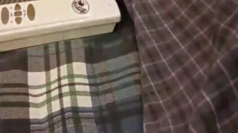 smoke-4-me online show from July 5, 4:48 am
