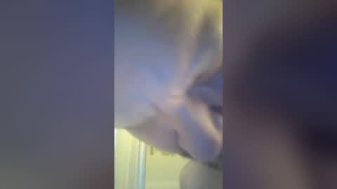 smokenstroke302 online show from August 10, 3:19 am
