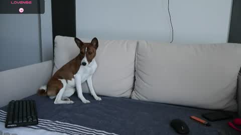 sofia_pavlova online show from August 16, 1:59 pm
