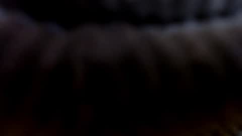 SofiaLenis online show from July 15, 1:12 pm