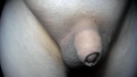 soft4you online show from April 17, 12:01 pm