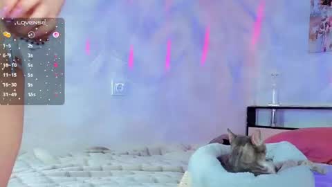 softy_bunny online show from July 11, 8:15 pm