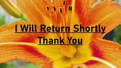 sonblok222 online show from May 17, 3:02 pm
