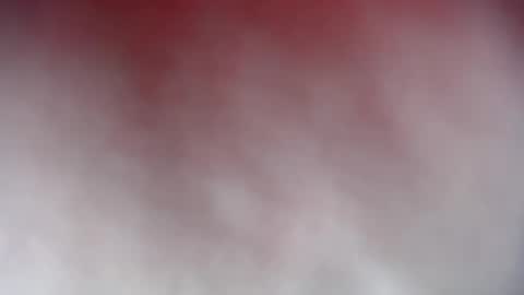 soy Elena online show from August 12, 4:31 pm