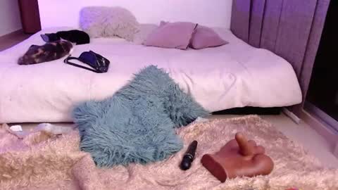      online show from August 11, 8:27 am