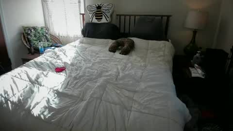 AmberSpanks online show from July 29, 1:12 am