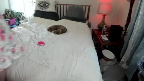 AmberSpanks online show from August 3, 2:40 am