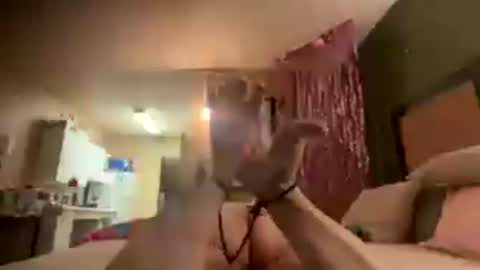 spicydevils420 online show from July 19, 5:20 am