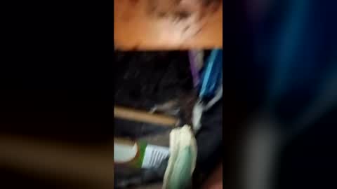 spunfunwatchme online show from July 19, 2:24 am