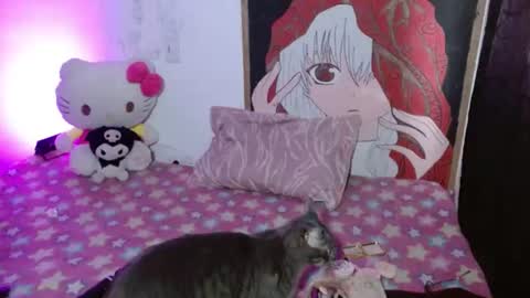  HELLO WELCOME MY NAME IS CHARLOTTE OY A NEW GIRL   online show from August 11, 12:40 pm