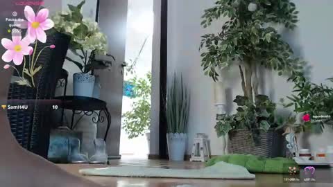 Monica online show from August 2, 7:26 am