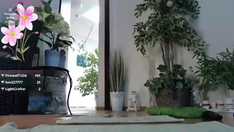 Monica online show from August 7, 8:58 am
