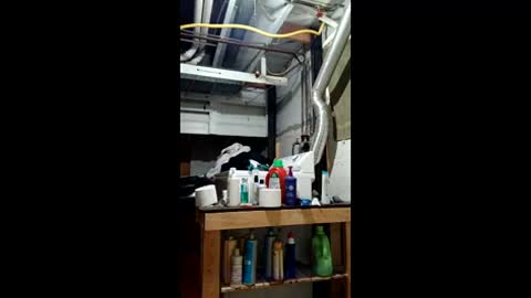 sss591508 online show from May 25, 7:36 pm