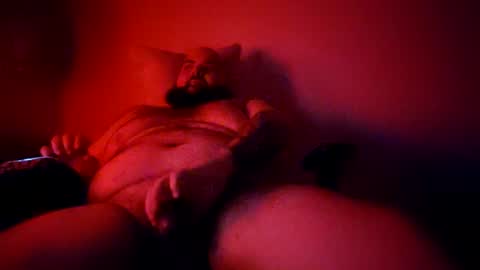 stallion_bear online show from August 9, 11:17 pm