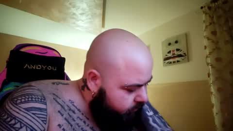 stallion_bear online show from August 10, 3:41 am