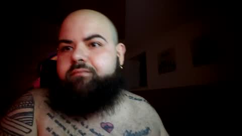 stallion_bear online show from August 11, 2:24 am