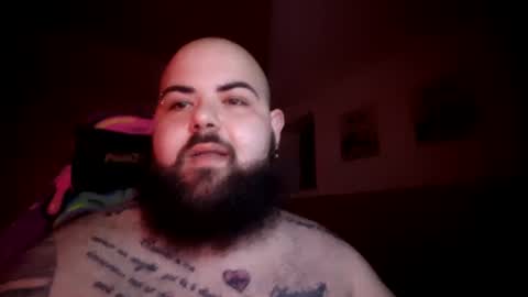 stallion_bear online show from August 11, 3:30 am