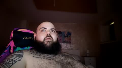 stallion_bear online show from August 11, 6:48 am