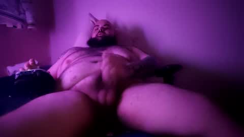stallion_bear online show from August 12, 1:41 am