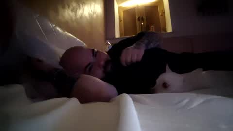 stallion_bear online show from August 13, 12:19 pm