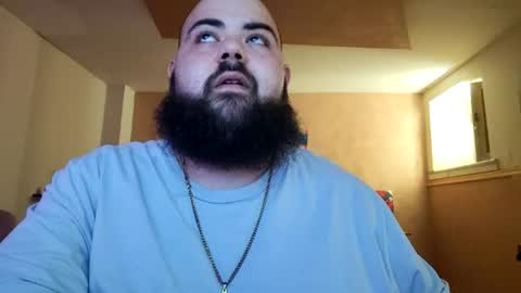 stallion_bear online show from August 14, 10:30 am