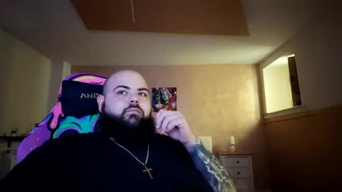 stallion_bear online show from August 15, 9:46 am