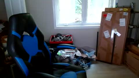 Steakman online show from August 3, 12:12 pm