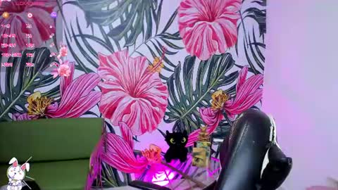 Stefany online show from August 4, 1:08 pm