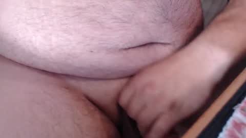 steiffequalle online show from July 31, 1:28 pm