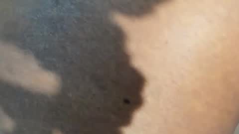 steph____3 online show from August 12, 7:16 pm