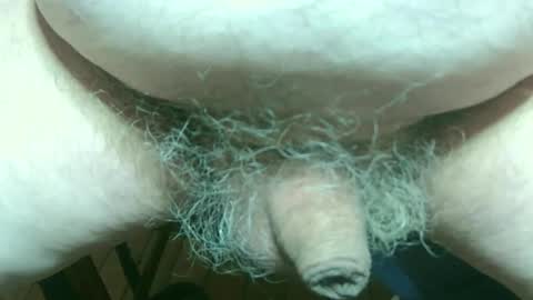 stephanois34 online show from March 22, 2:21 pm