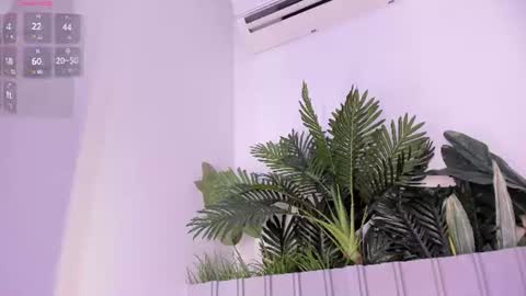 Stephany online show from August 5, 8:18 pm