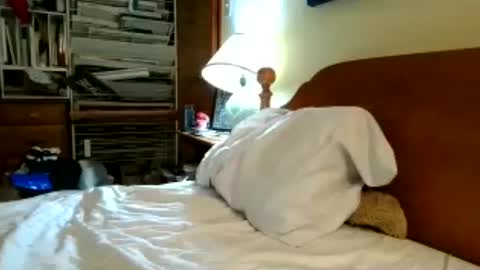 Ian23602 sc online show from July 15, 11:44 am
