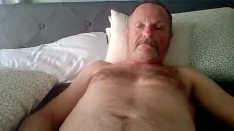 steviehard8 online show from July 31, 10:59 pm