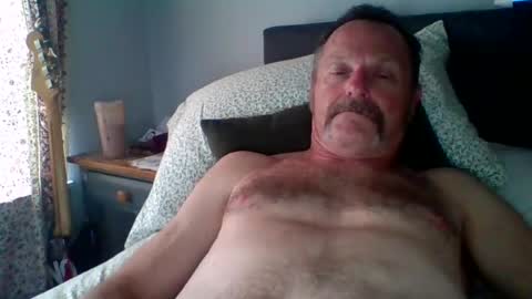 steviehard8 online show from August 15, 2:04 am