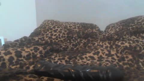 stillananalslut23 online show from June 19, 4:12 am