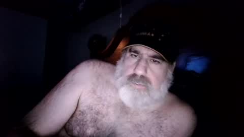 Straightbear4you online show from July 28, 2:45 pm