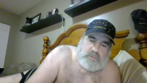 Straightbear4you online show from August 11, 1:24 pm