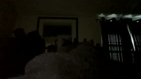 stud55231121 online show from May 26, 12:17 pm