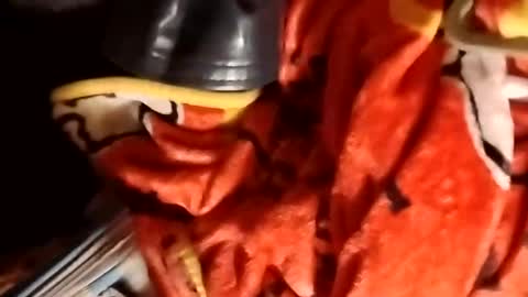 stuffamuffagus69 online show from August 15, 12:42 pm