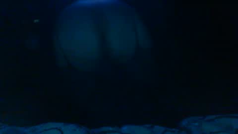 supbithches online show from August 3, 10:50 pm