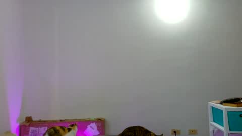 Susana online show from July 22, 12:40 pm