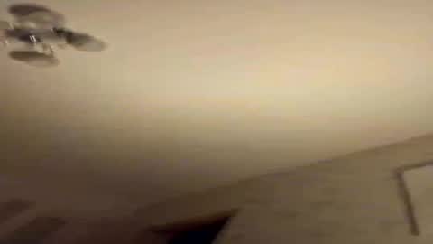 suzyhere online show from July 23, 1:52 am