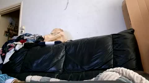 sweaterboy666 online show from August 12, 4:59 am